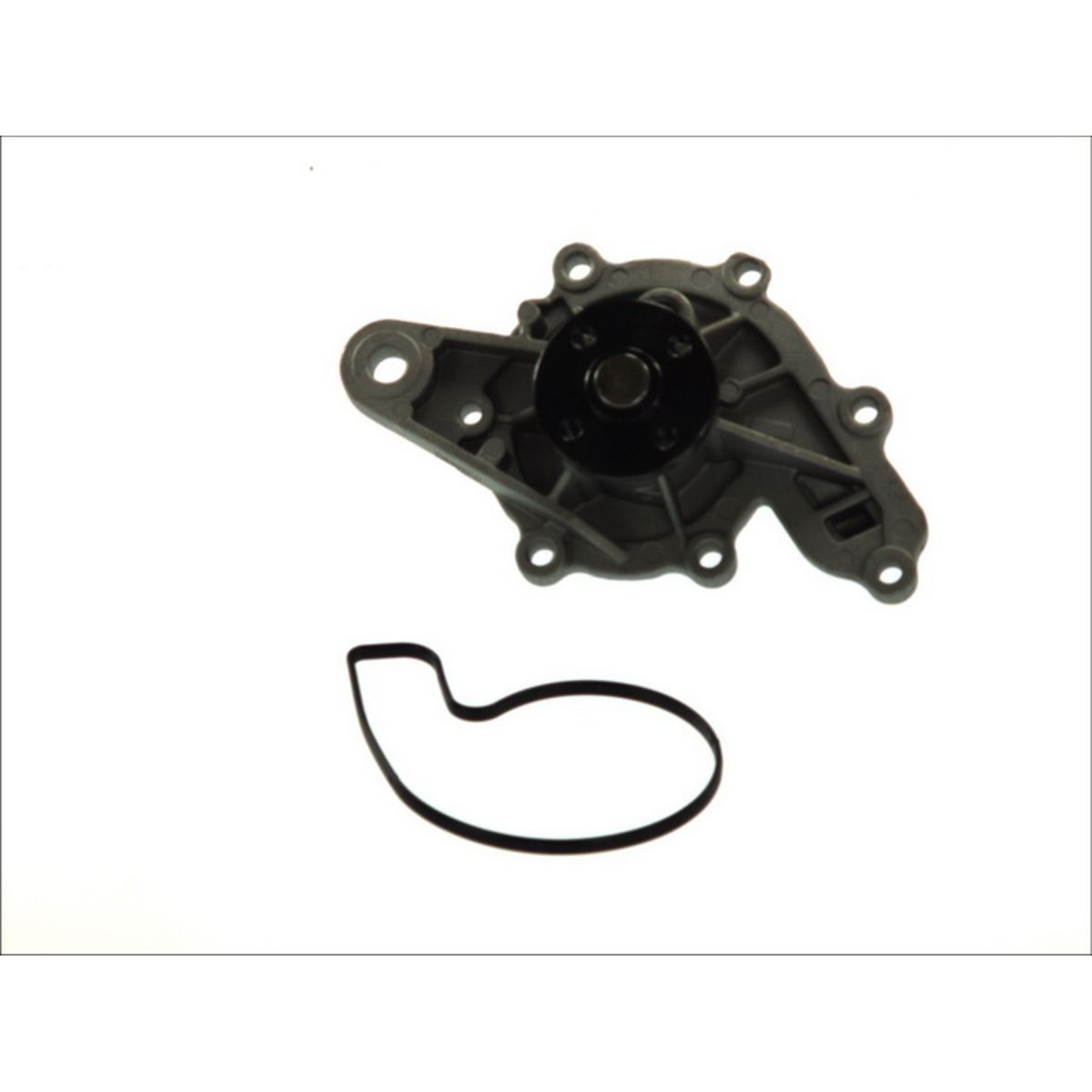 Vesipumppu THERMOTEC D1M043TT