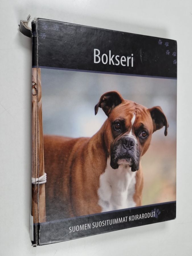Bokseri