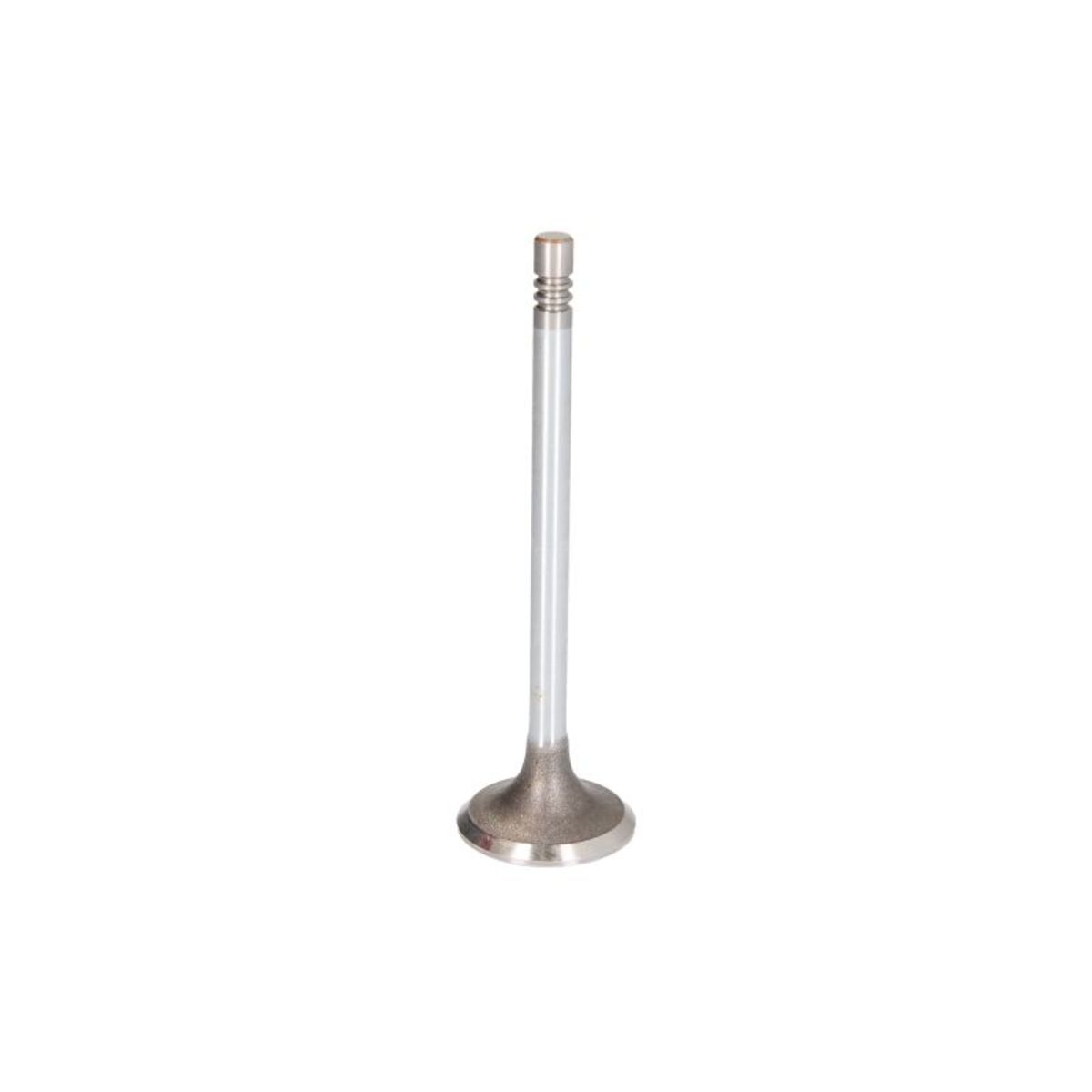 Imuventtiili FRECCIA R6548/SCR