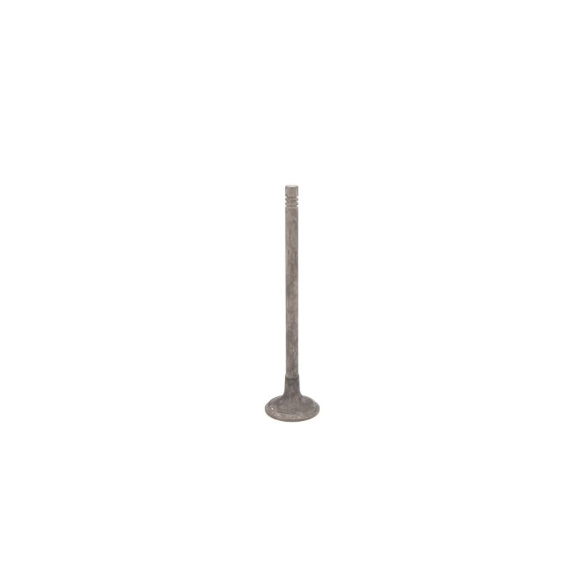 Pakoventtiili FRECCIA R6810/RNT