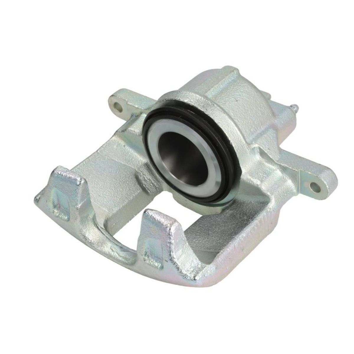 Jarrusatula BUDWEG CALIPER 344605