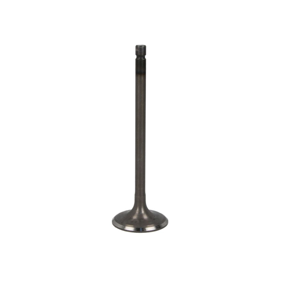 Imuventtiili FRECCIA R6593/SNT