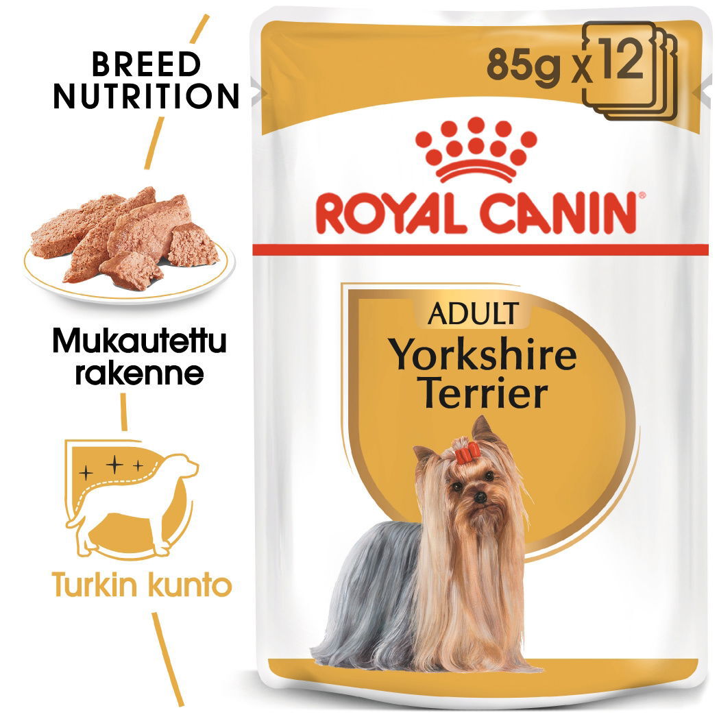 Royal Canin Yorkshirenterrieri Aikuinen 85 g