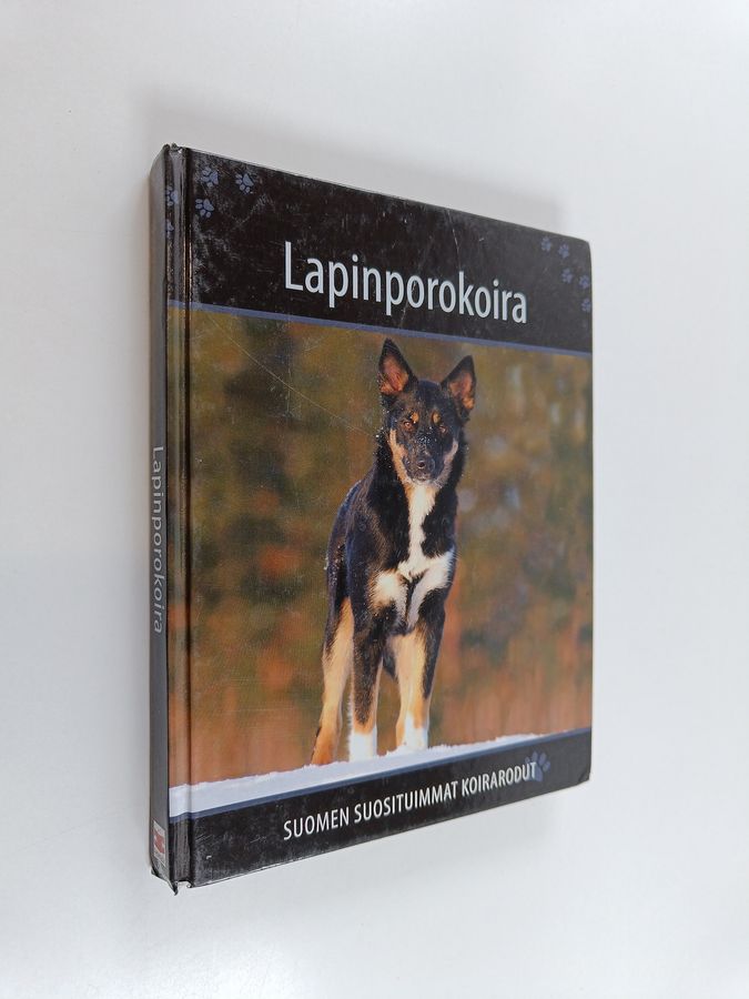 Lapinporokoira