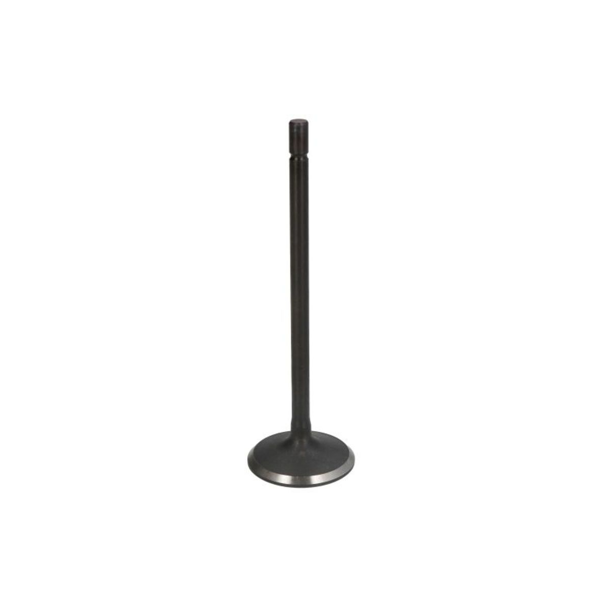 Imuventtiili FRECCIA R6823/SNT