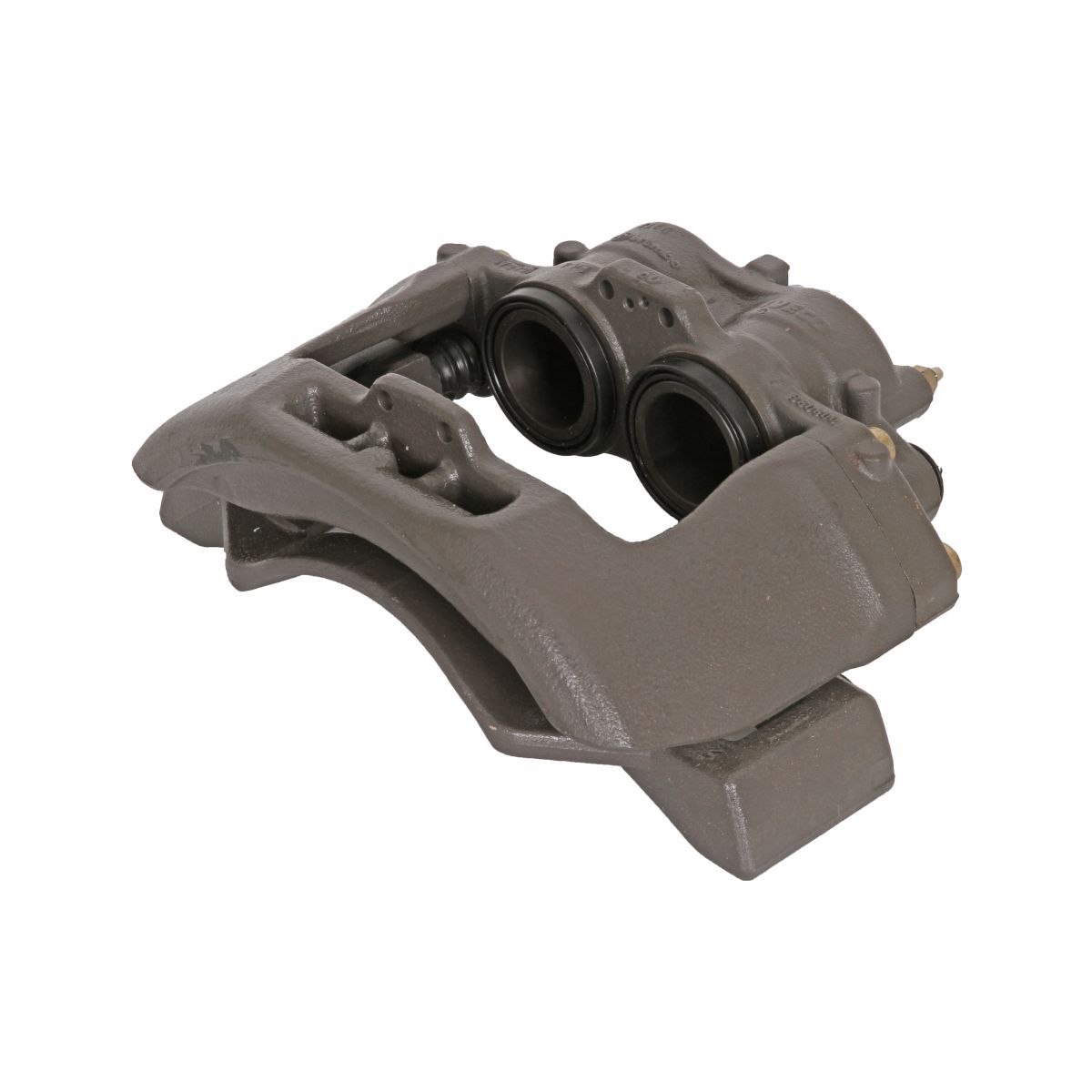Jarrusatula SBP TEQ-BR.011