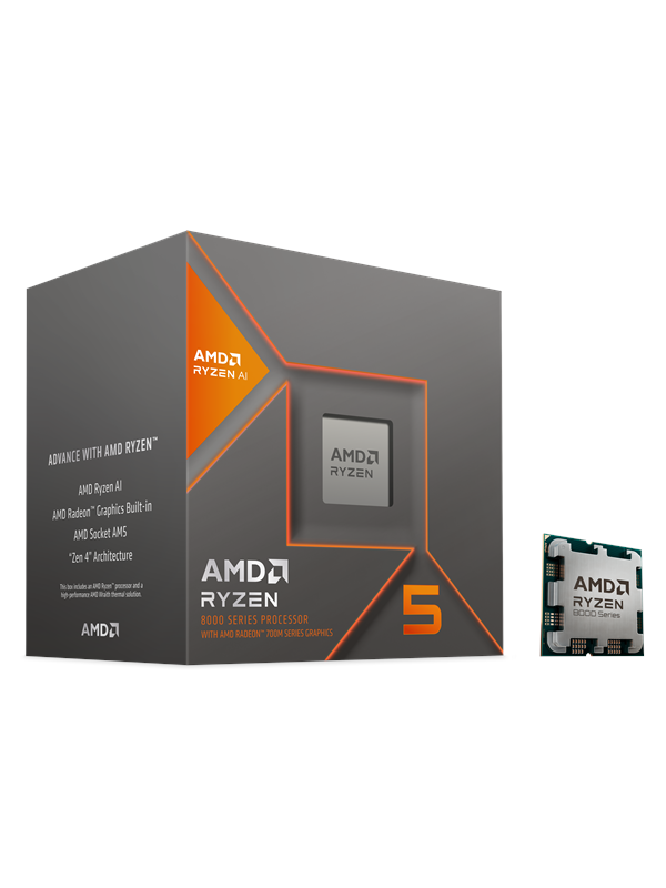 AMD CPU Ryzen 5 8600G 4,3 GHz 6 kärnor Socket AM5 PIB - med kylare