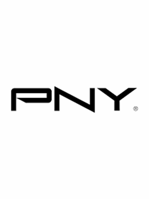 PNY NVIDIA Ampere NVlink 2-paikkainen