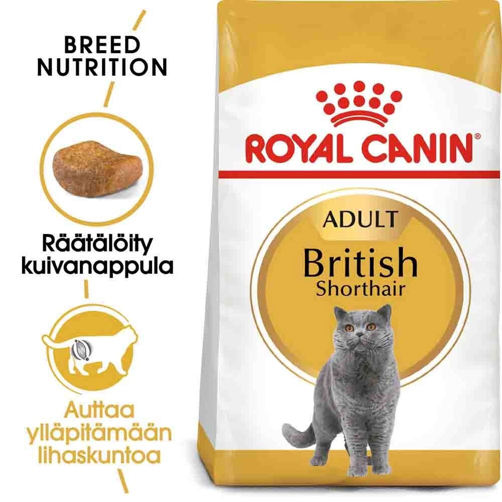 Royal Canin British Shorthair Adult, Aikuinen, Brittiläinen lyhytkarva, 10 kg, Antioksidantit sisältyvät
