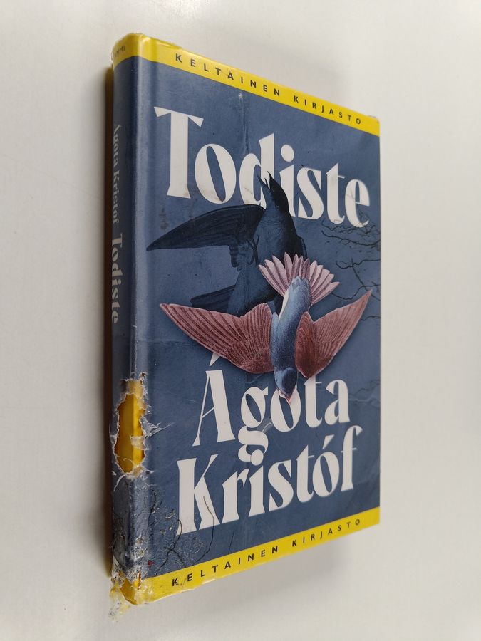 Todiste