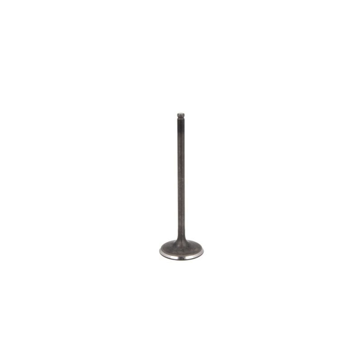 Imuventtiili FRECCIA R6555/SNT
