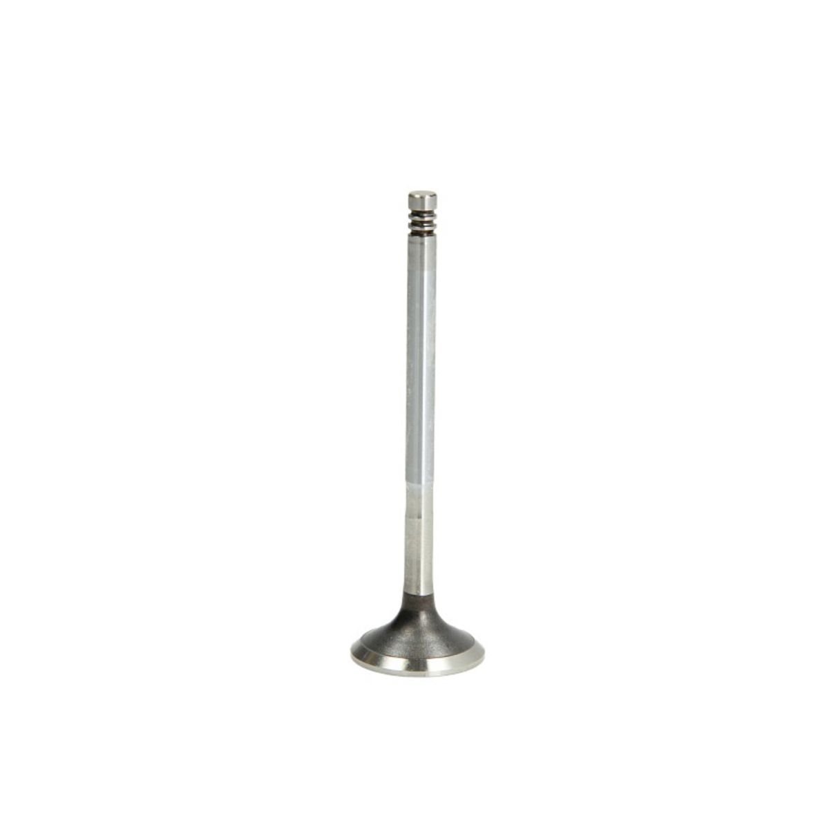 Pakoventtiili FRECCIA R6003/BMCR