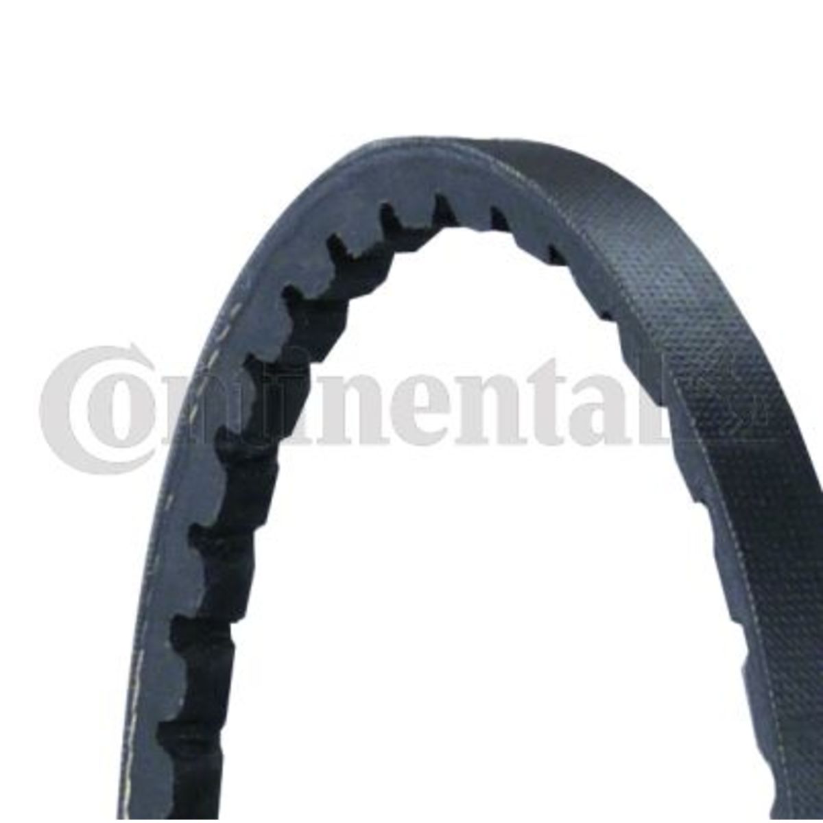 Kiilahihna CONTITECH AVX10X1000