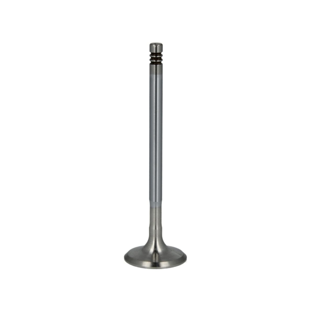 Pakoventtiili FRECCIA R6392/BMARCR
