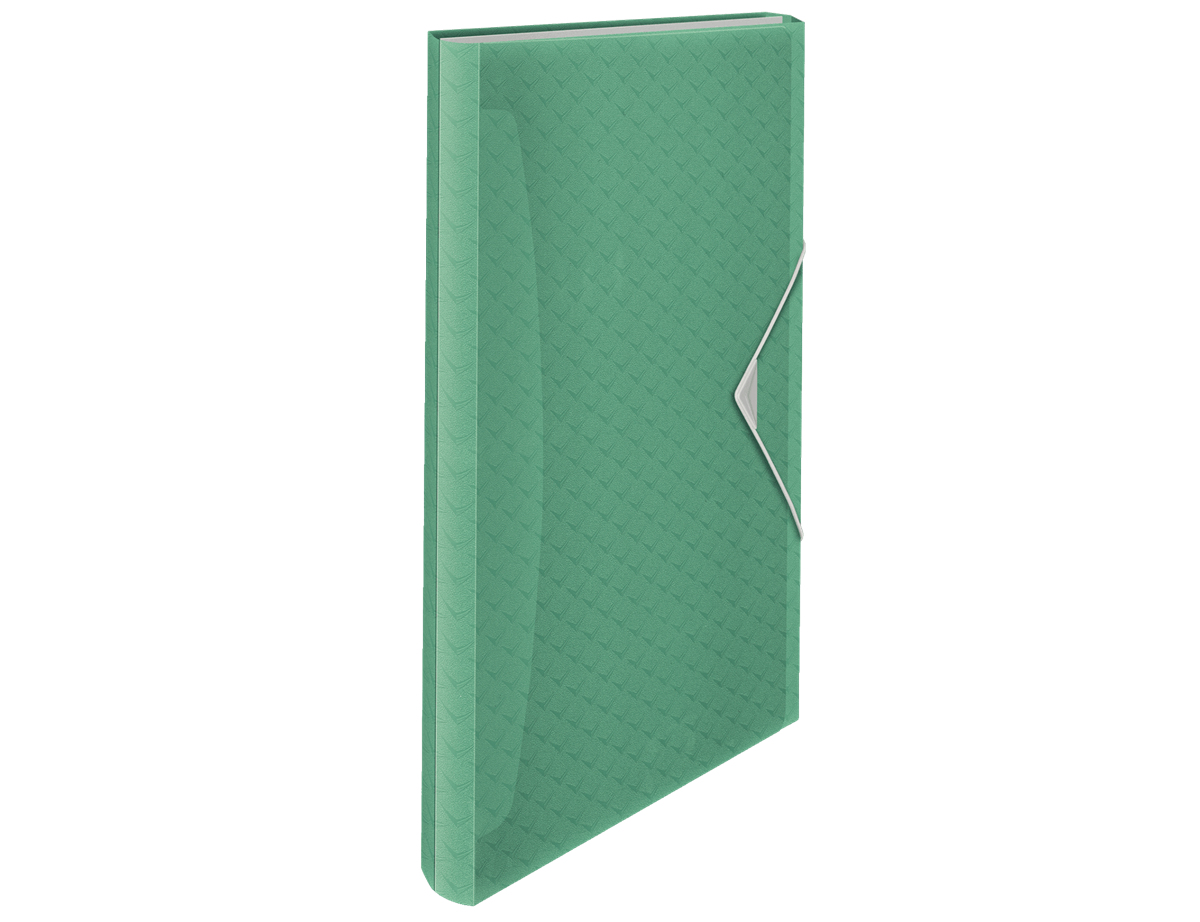 Esselte Colour''Breeze Kokouskansio, Tavanomainen paperikansio, Polypropeeni (PP), Vihreä, Kuminauha, 330 mm, 60 mm