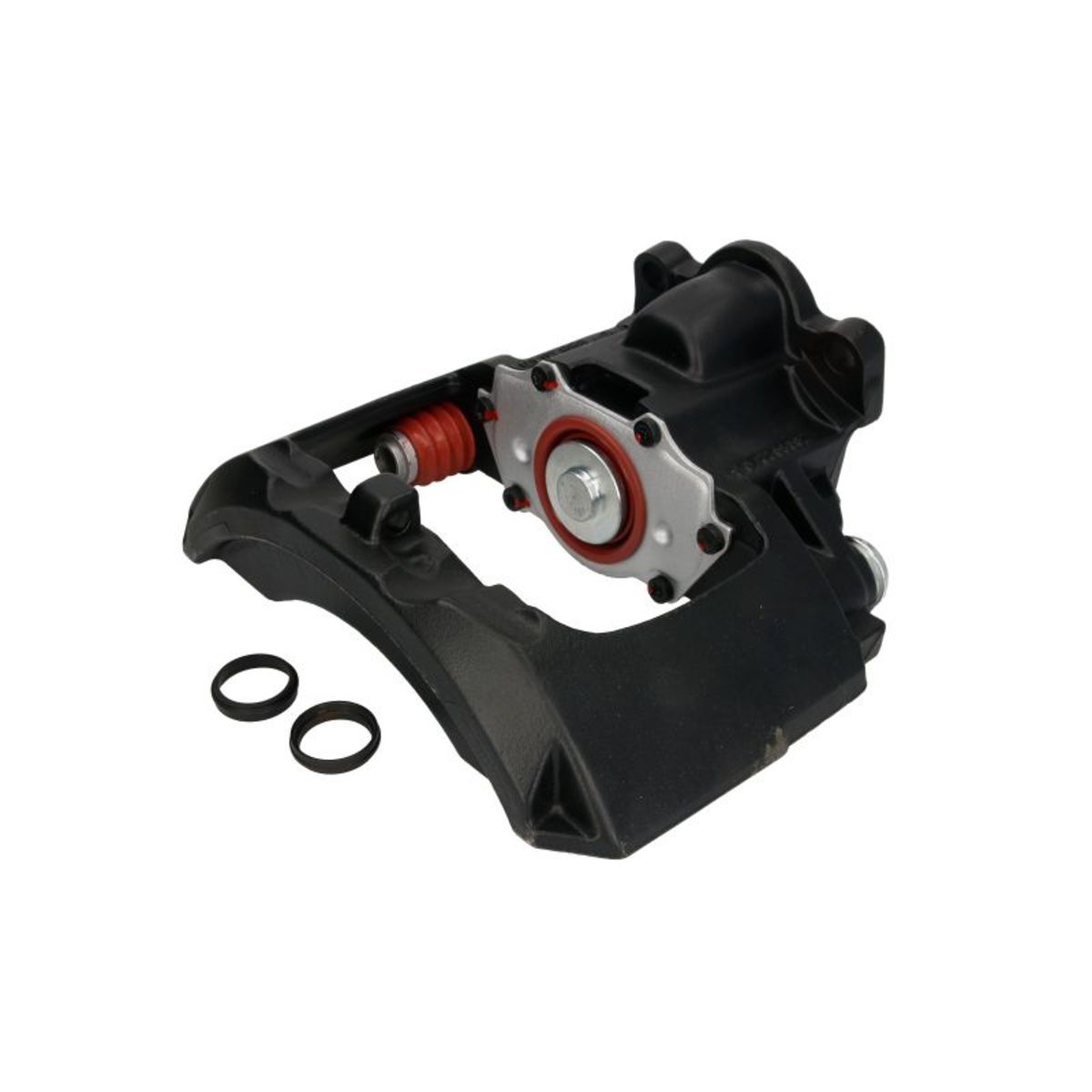 Jarrusatula SBP TEQ-ME.004