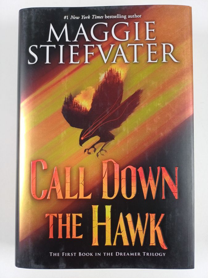 Call Down the Hawk (The Dreamer Trilogy, Book 1)