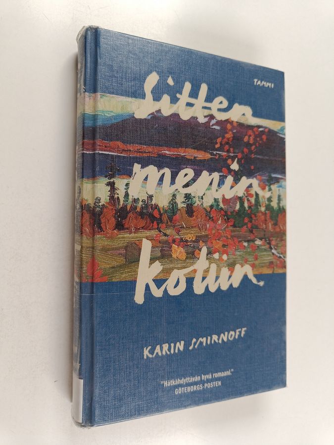 Sitten menin kotiin