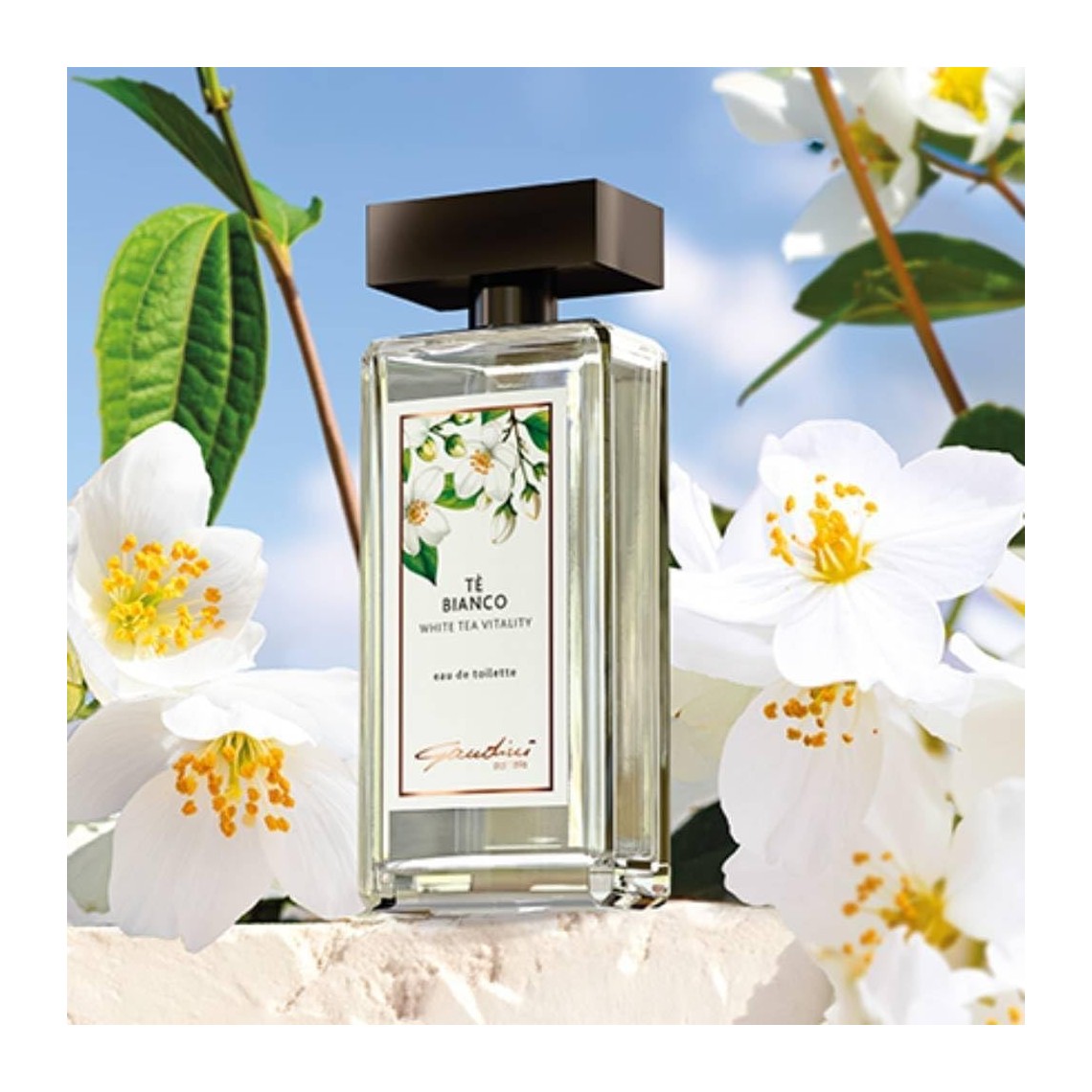 Gandini Bianco EDT 100 ml