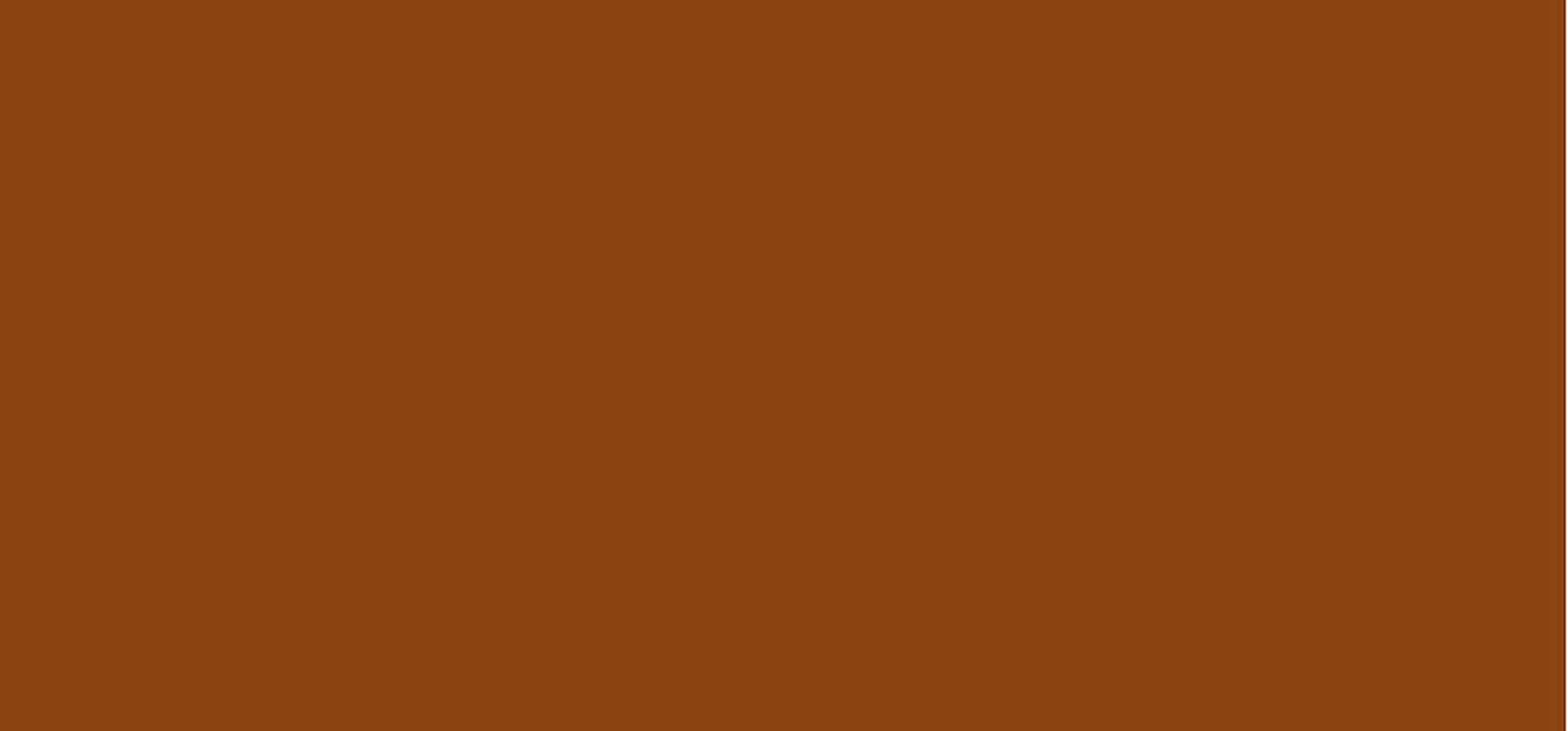 Alcina balsamo colorante (Color Conditioning Shot) 150 ml - Tonalità: Warm Brown