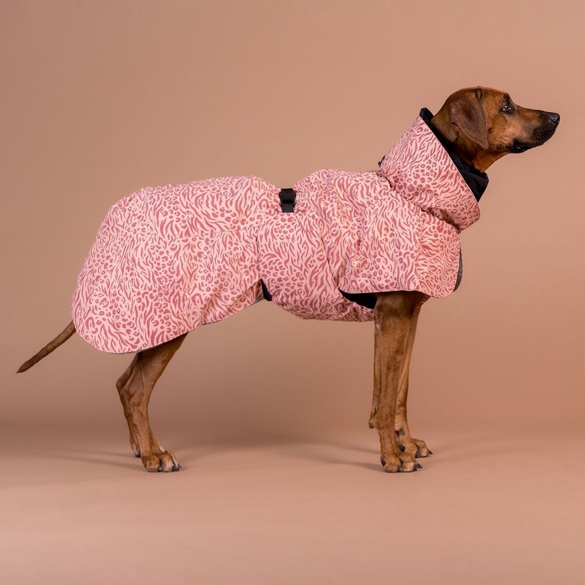 PAIKKA Visibility talvitakki, red mix