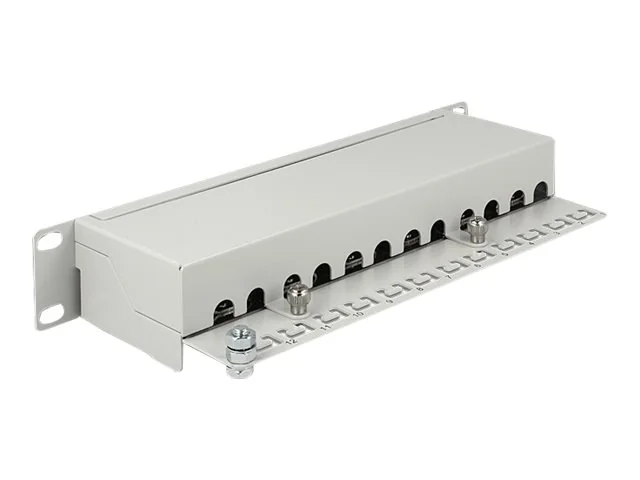 DeLOCK 43308, RJ-45, Cat6a, Telinekiinnitys, 1U, Harmaa, Metalli
