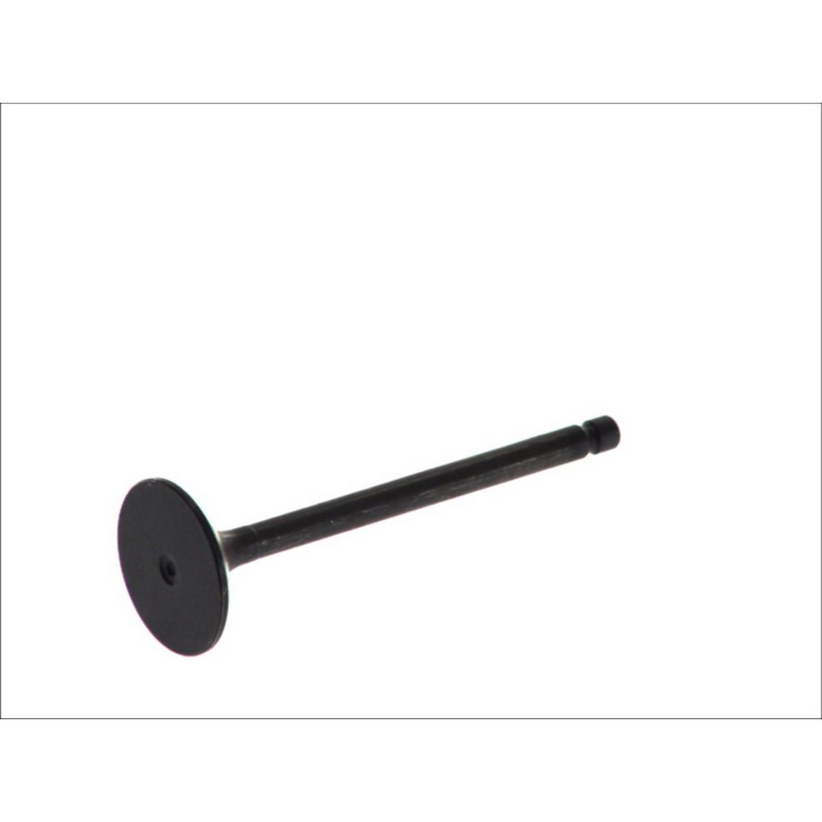 Imuventtiili FRECCIA R6038/SNT