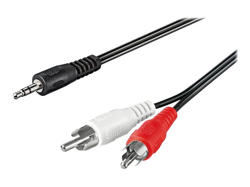 Pro MiniJack - 2xRCA - Musta - 3m