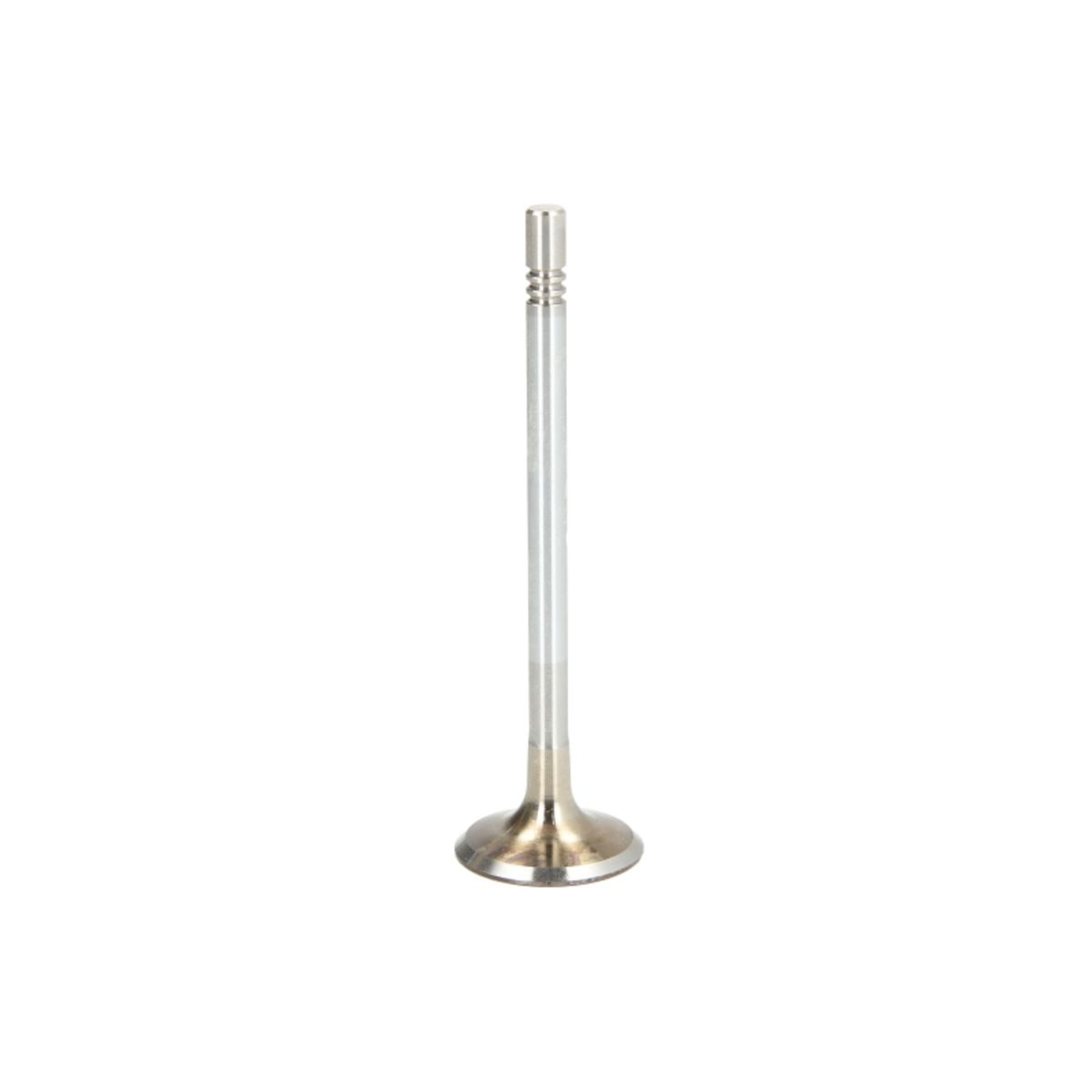 Imuventtiili FRECCIA R6514/S