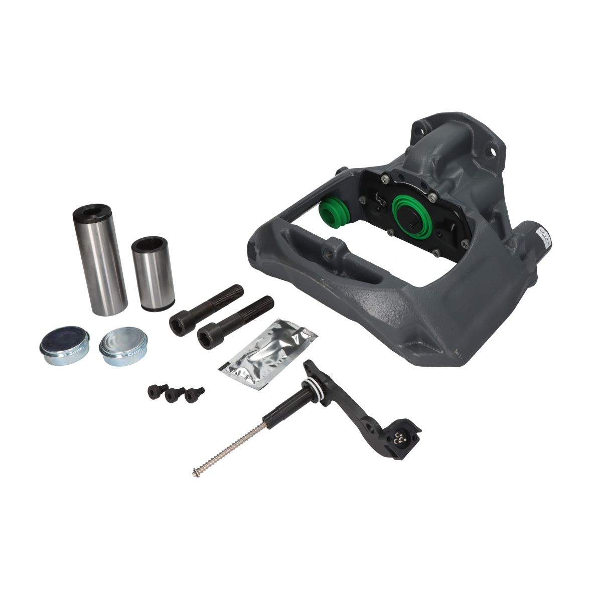 Jarrusatula SBP TEQ-ME.016