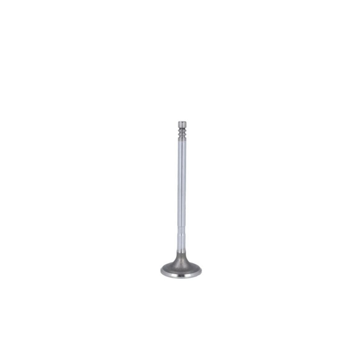 Imuventtiili IPSA VL143100