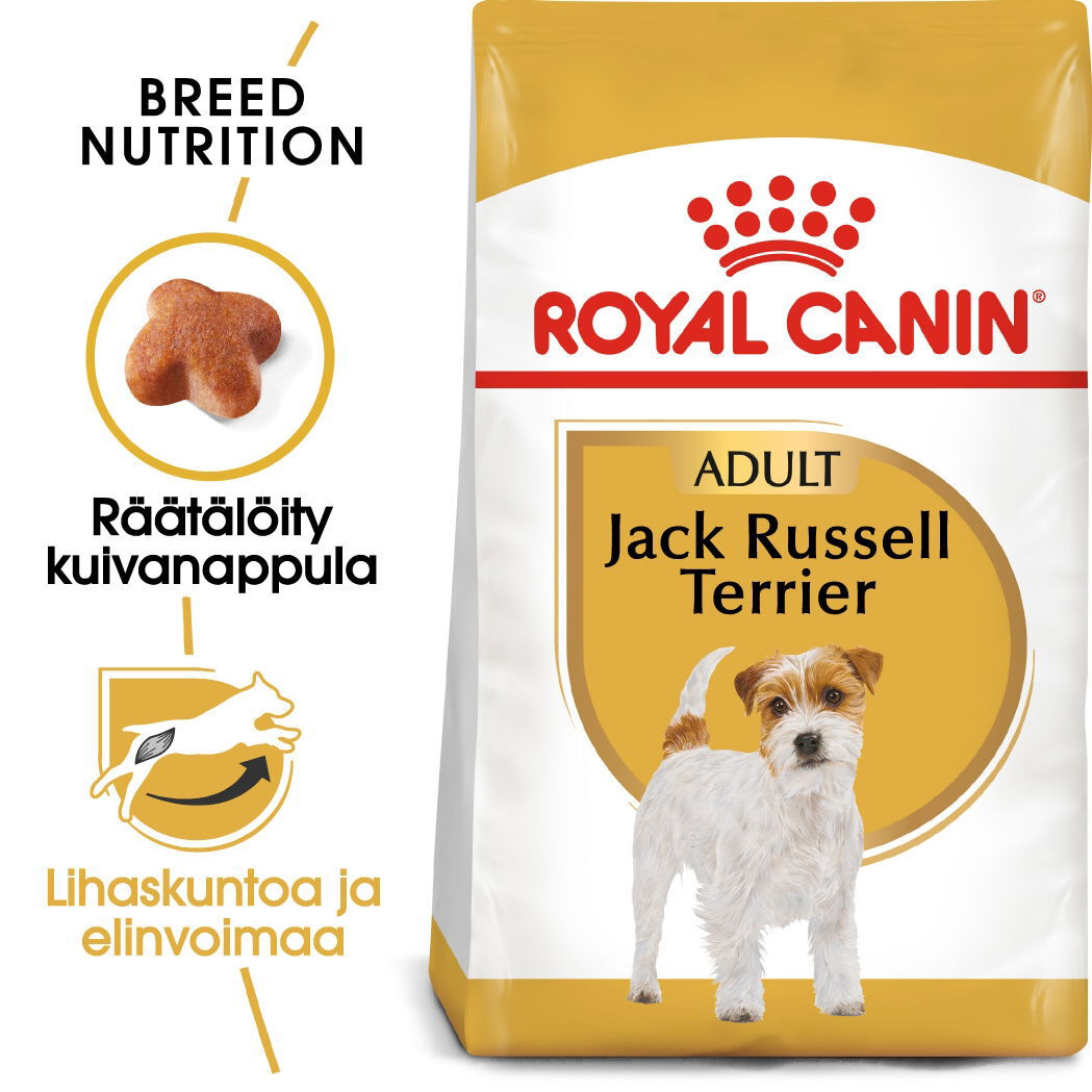 Royal Canin Jack Russel Adult