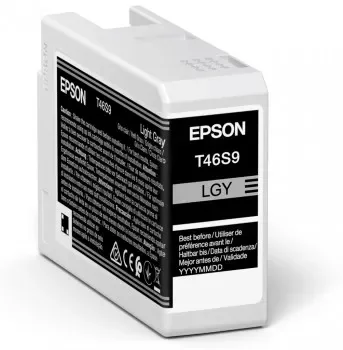 Epson Singlepack Light Gray T46S9 UltraChrome Pro
