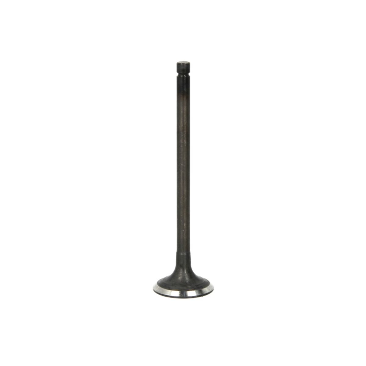 Imuventtiili FRECCIA R6645/SNT
