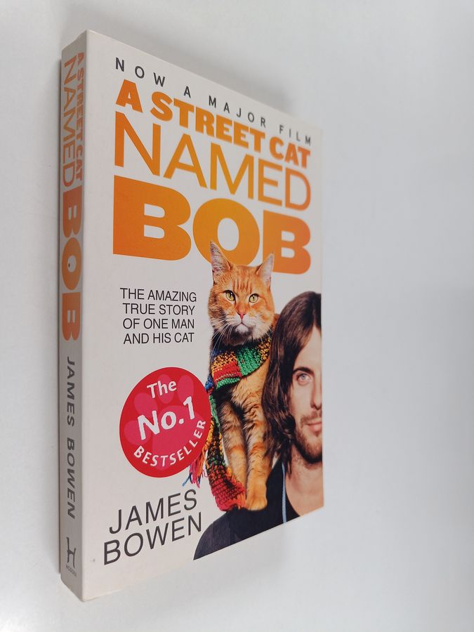 A street cat named Bob