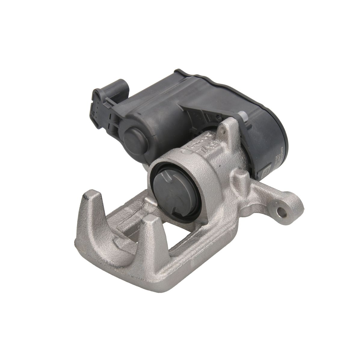Jarrusatula BUDWEG CALIPER 344929