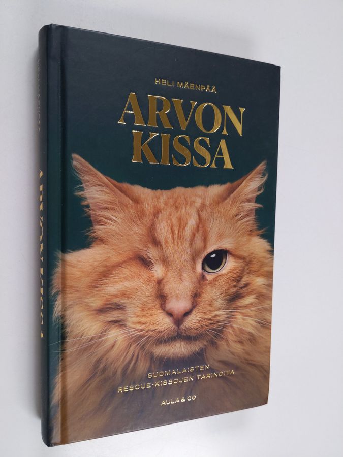 Arvon kissa