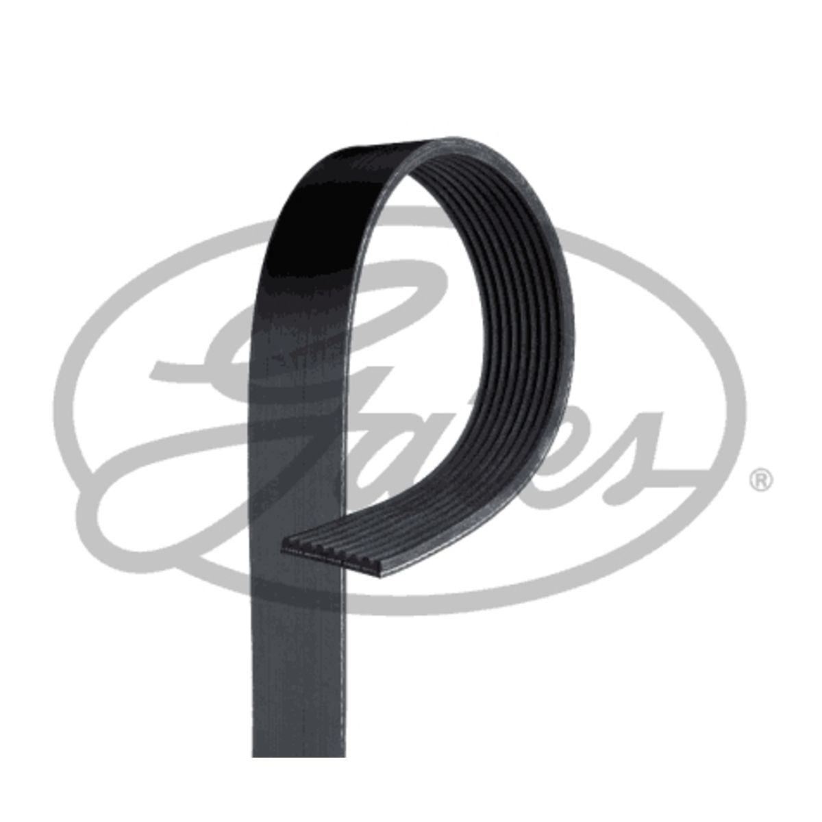 Moniurahihna GATES 9PK1425AHD