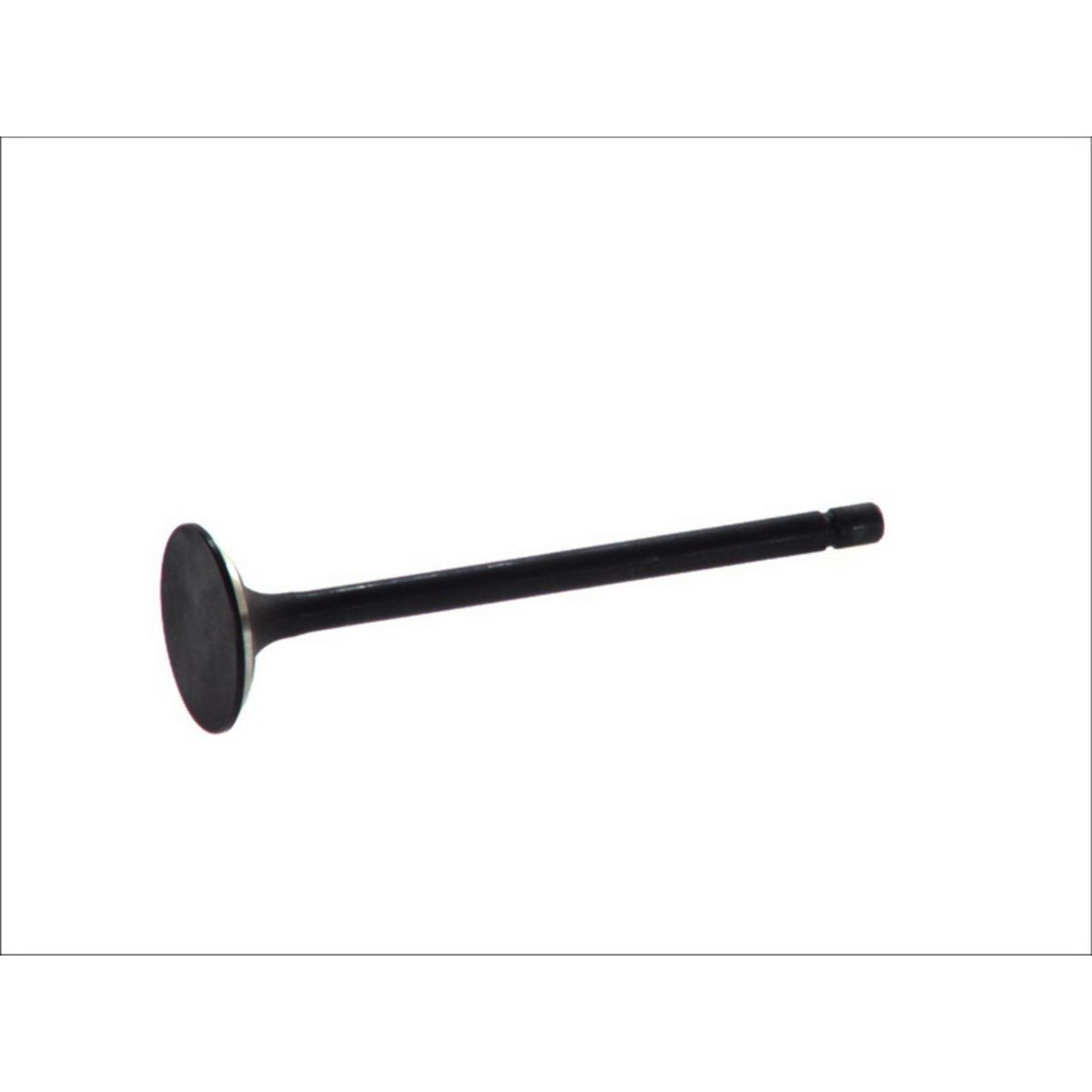Imuventtiili FRECCIA R6562/SNT