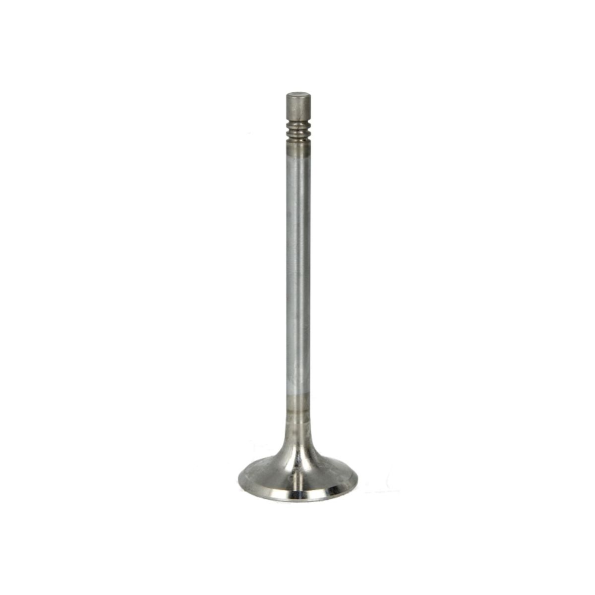 Pakoventtiili FRECCIA R6719/RCR