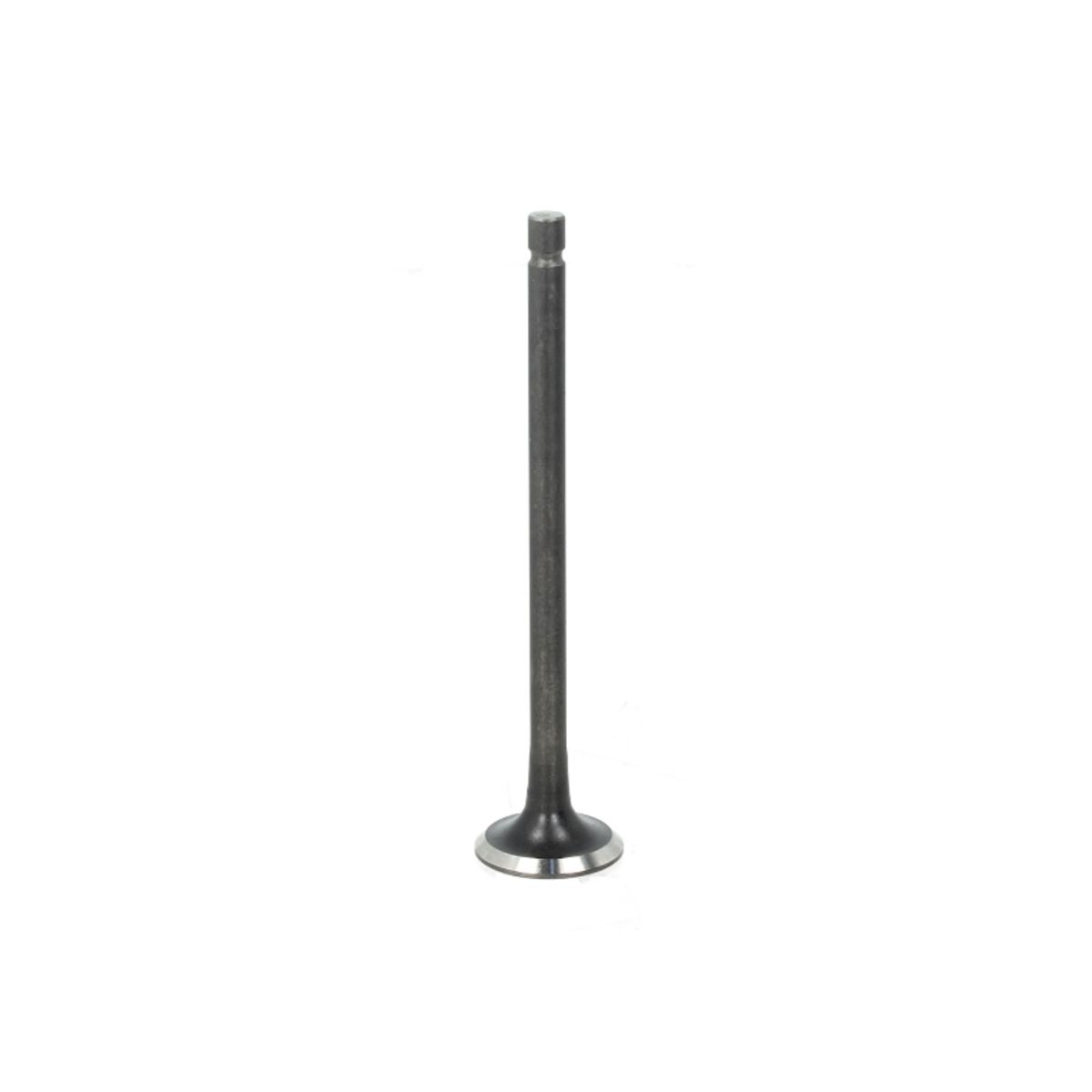 Pakoventtiili FRECCIA R6431/RNT