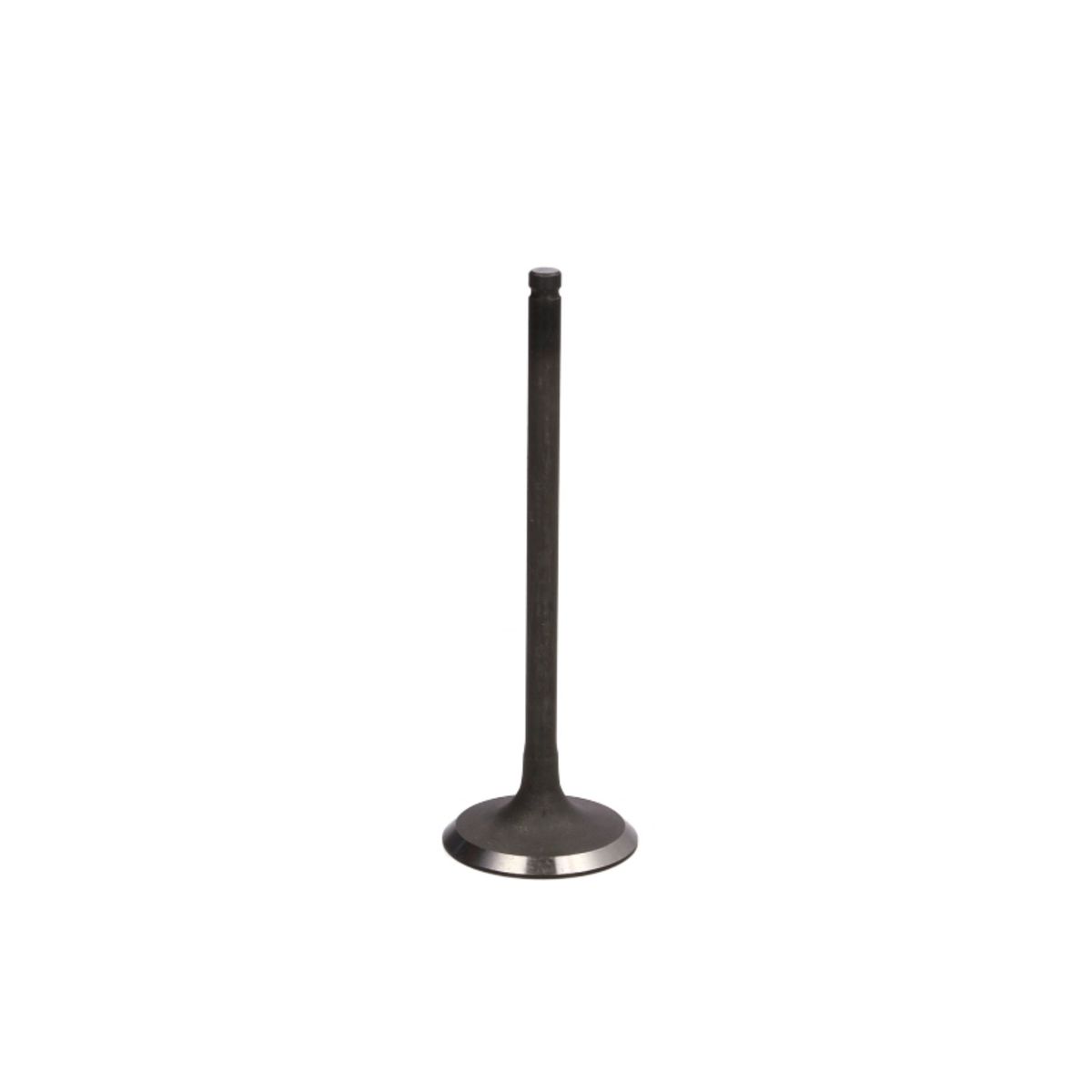 Imuventtiili FRECCIA R6294/SNT