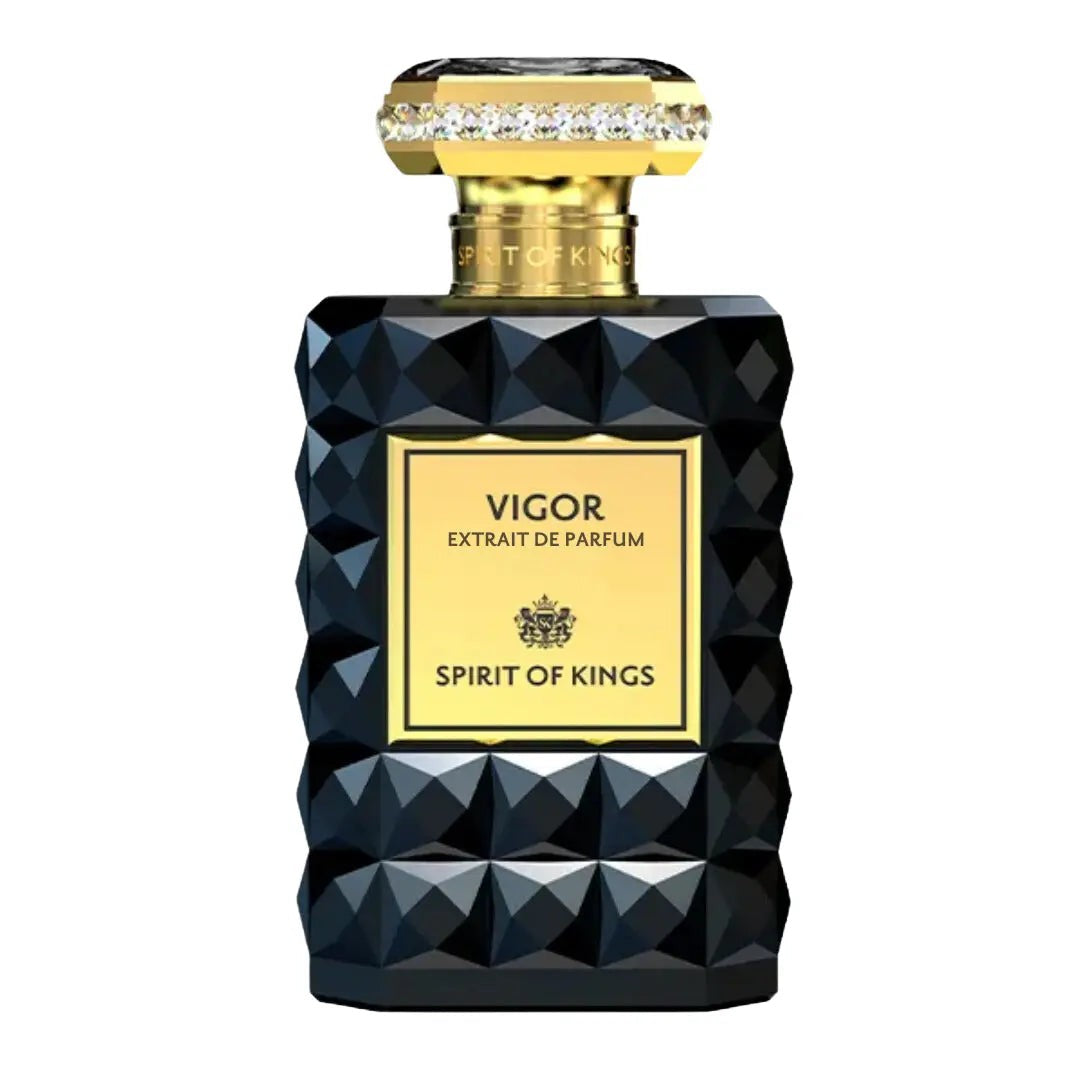 Spirit Of Kings Vigor Spirit Of Kings unisex parfum - 100 ml