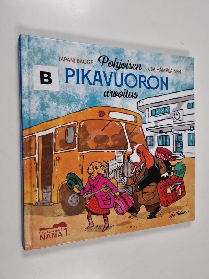 Pohjoisen pikavuoron arvoitus