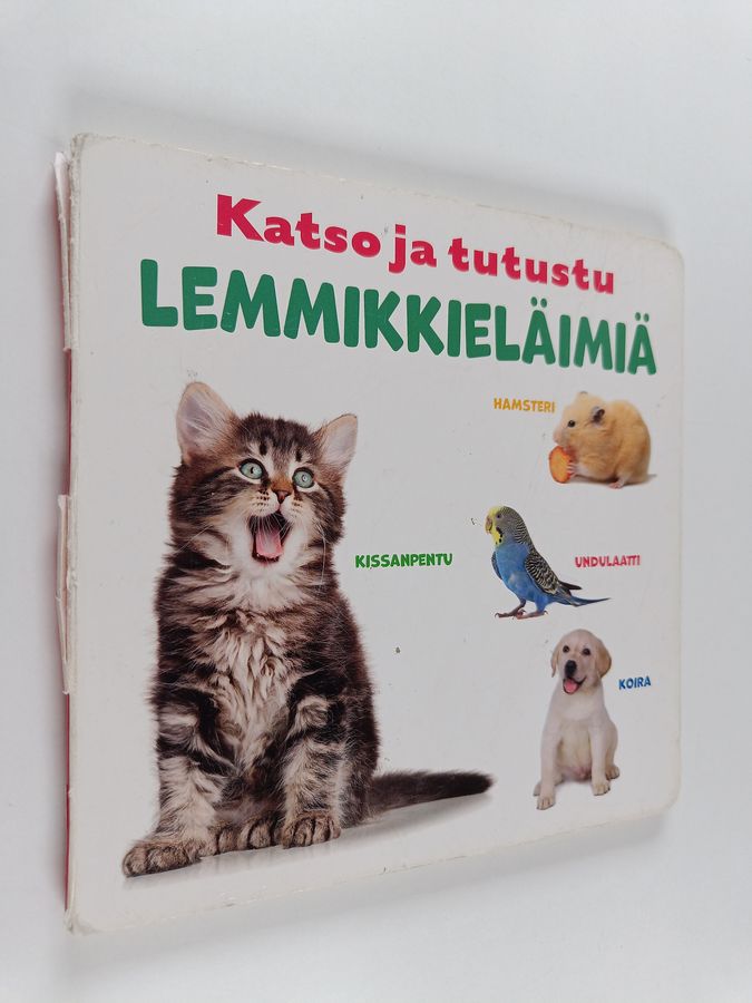Katso ja tutustu: Lemmikkieläimiä