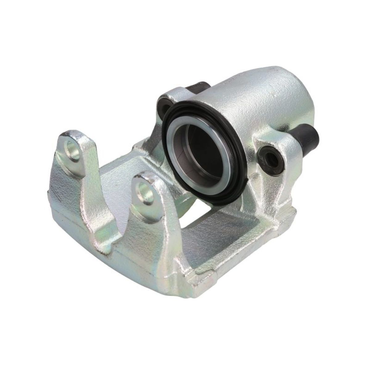 Jarrusatula BUDWEG CALIPER 342539