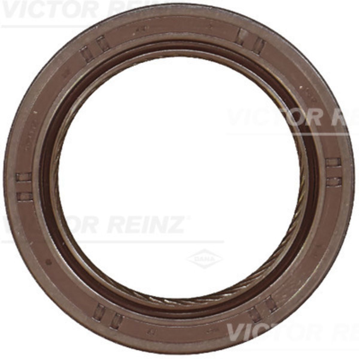 Akselitiiviste, kampiakseli REINZ 81-10638-00