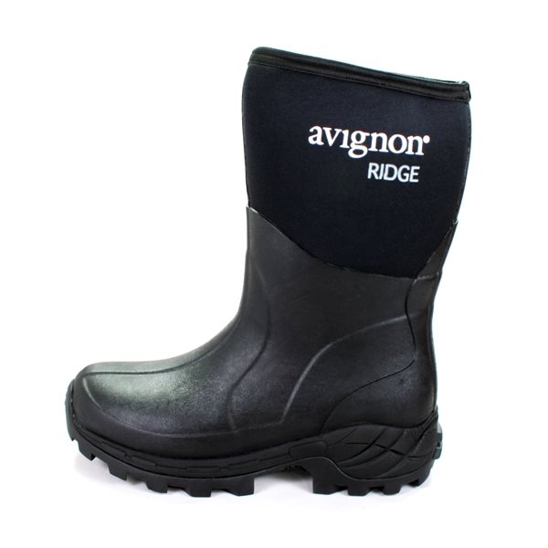 Avignon Ridge Mid 605 - 37