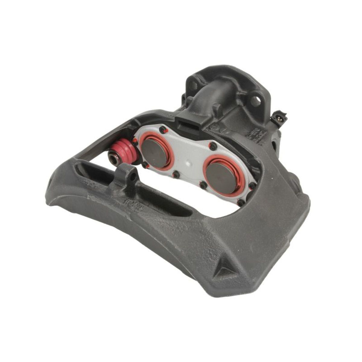 Jarrusatula SBP TEQ-ME.011