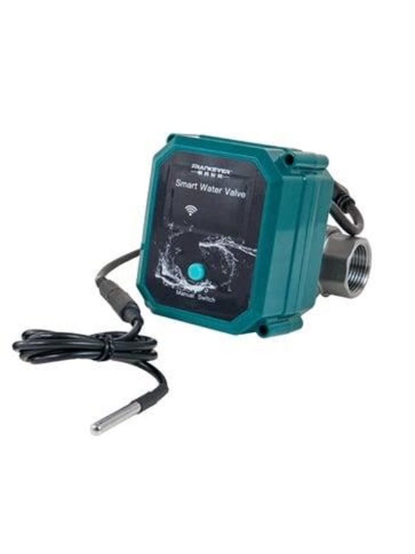 FrankEver Smart water valve DN20, ¾